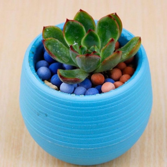 Unbreakable Blue Succulent Planter Pot - Picture 11 of 16